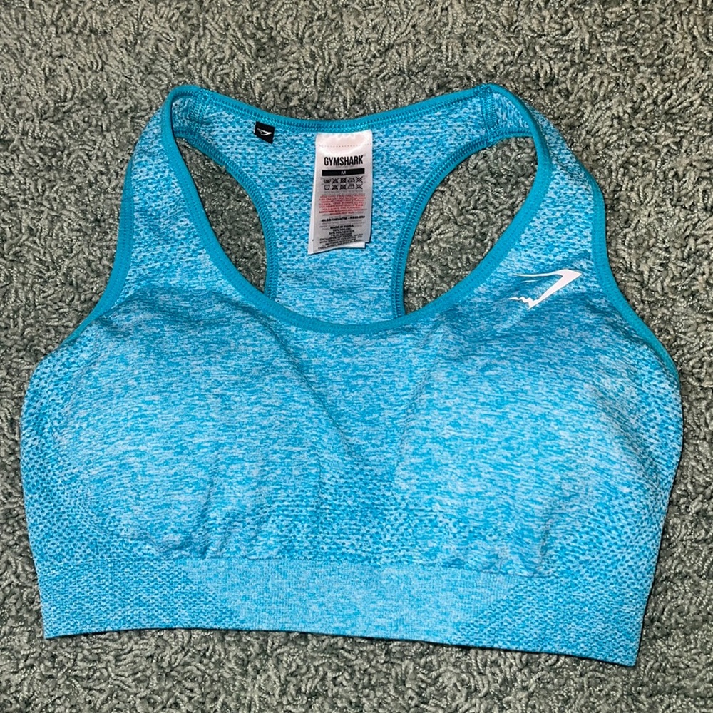 Gymshark light blue sports bra.